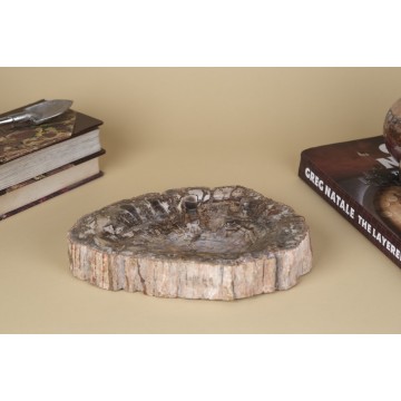 Petrified wood bowl