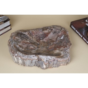 Petrified wood bowl