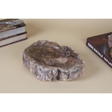 Petrified wood bowl