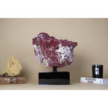 Natural Red Pipe Organ Coral