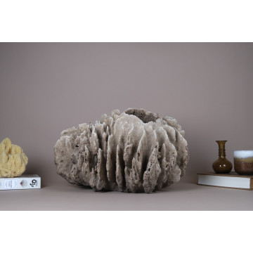 Giant Barrel Sponge