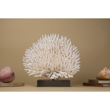 Acropora latistella coral