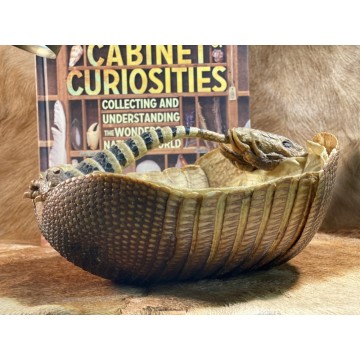 Armadillo Basket - Victorian