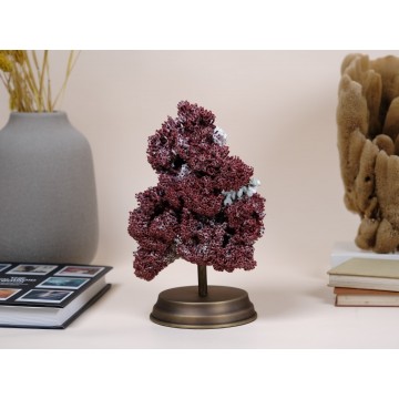 Natural Red Pipe Organ Coral