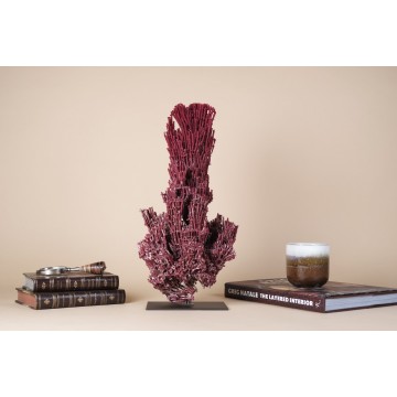Natural Red Pipe Organ Coral