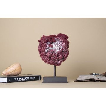 Natural Red Pipe Organ Coral