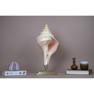 Giant Syrinx in brass base