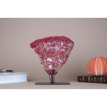 Natural Red Pipe Organ Coral