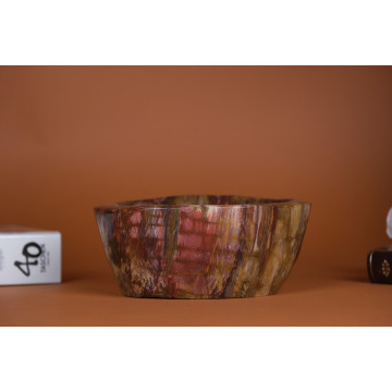 Petrified wood bowl