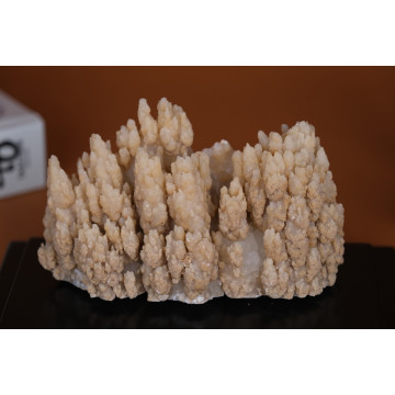 Aragonite formation