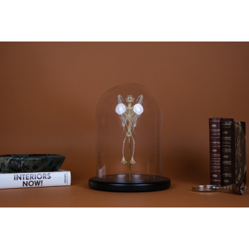 Leschenault’s Fruit Bat...