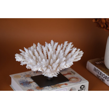 Acropora latistella coral