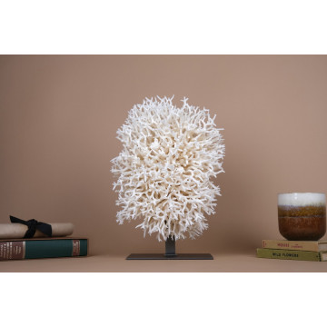 Seriatopora Hystrix coral