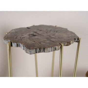 Petrified wood side table