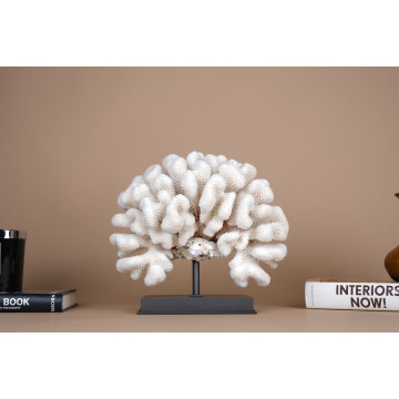 Pocillopora eydouxi coral