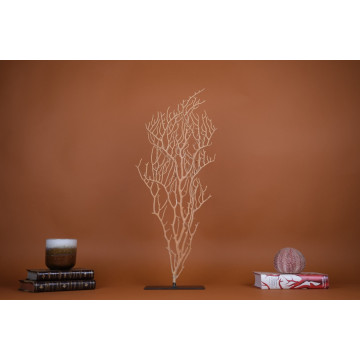 Yellow gorgonian
