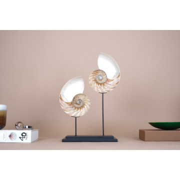 Nautilus - Cut and polished