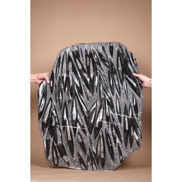 Polished orthoceras slab