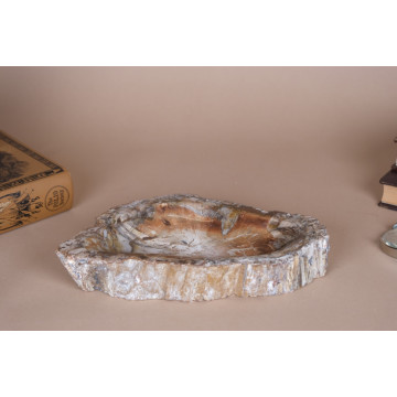 Petrified wood bowl