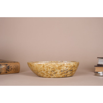 Coral fossil bowl