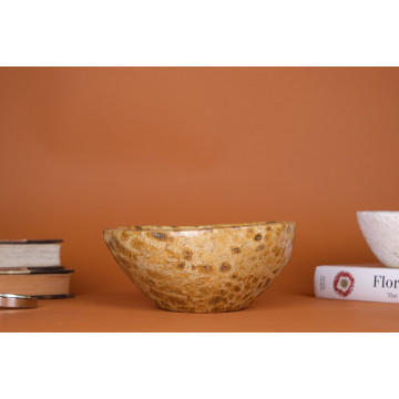 Coral fossil bowl