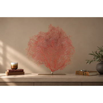 Red gorgonian