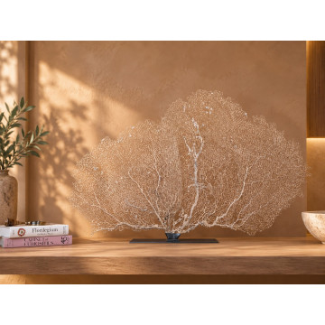 White gorgonian