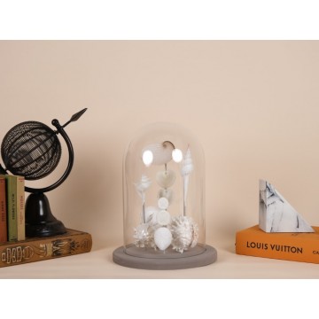 White Sea Shells dome
