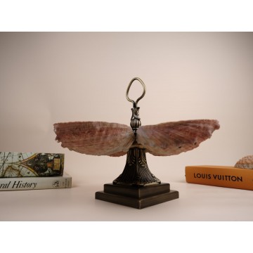 Haliotis table tray