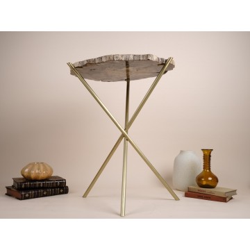 Petrified wood side table