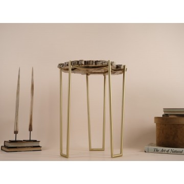 Petrified wood side table