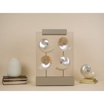 Polished and cutted...