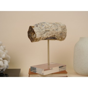 Petrified wood trunk