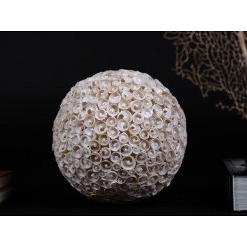 Cerithiidae sp. Shell ball