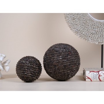 Umbonium vestiarium Shell ball