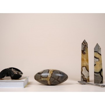 Septarian Lingam