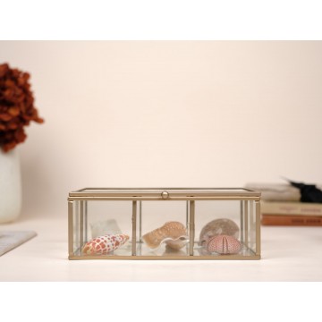 Marine Life box