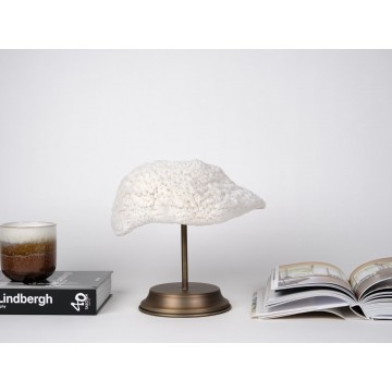Neptun Cap coral -...