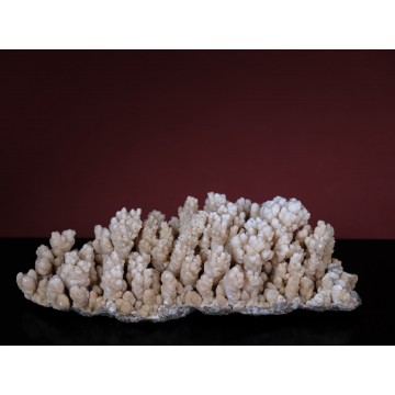 Dendritic Aragonite