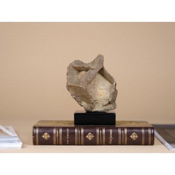 Natural Septarian nodule