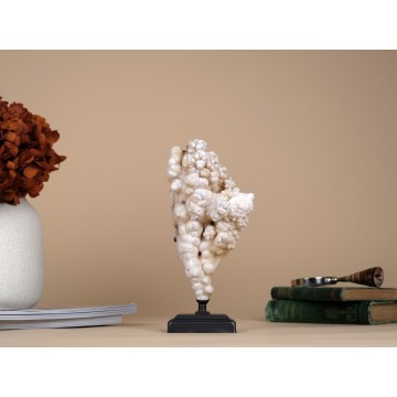 Dendritic Aragonite