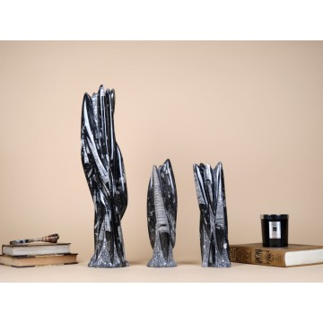 Polished orthoceras column