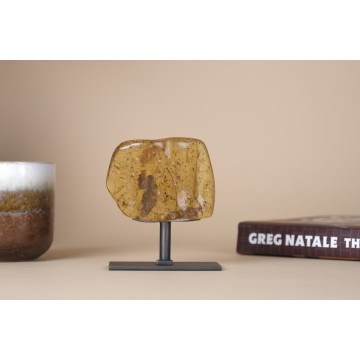 Copal Amber fossilized