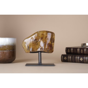 Copal Amber fossilized