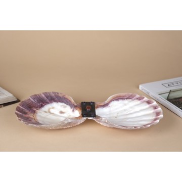 Pecten Table Tray
