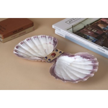 Pecten Table Tray