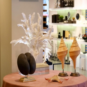 Celebrating Nature 🐚 with One of a Kind unique pieces in a three days exhibition at @sanimaia_casa Trofa’s showroom 💥 waiting for your visit! 

#uniquepieces #corals #marinelife #fossils #shells #insects #butterflies #rocks #minerals #coraldecor #decoração #homedecor #decoration #decoraçãodeinteriores #interiordesign #interiordecor #interiorismo #masterpieces #beoneofakind #sanimaia #oneofakind