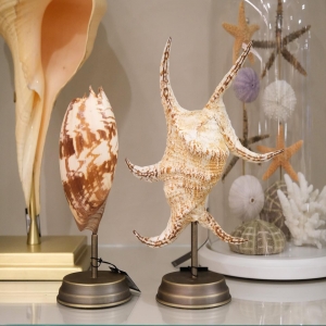 Melo umbilicatus & Lambis chiragra mounted in a dark brass base! ⚡️
Decor your shelf with Marine Life unique pieces and bring Nature into your home!

One of a Kind pieces available @sanimaia_casa 👌

#meloumbilicatus #lambischiragra #shells #shelldecoration #interiordecor #marinelife #naturedecoration #naturalhistory #naturalhistoryworld #interiorismo #decoração #designdeinteriores #uniquepieces #handmade #sanimaia #oneofakind