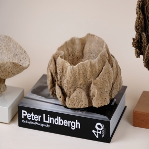 Barrel Sponge species from Madagascar reefs.

Sponges are beautiful decor items, due to its different shapes and colours. #beoneofakind 

#sponges #barrelsponge #madagascar #homedecor #interiordesign #interiordecor #uniquepieces #interiorismo